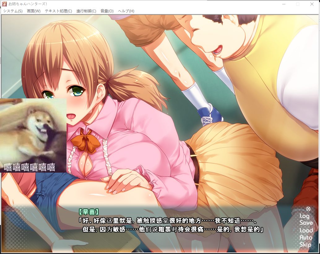 【拔作ADV/汉化】姐姐狩猎！让我们兴奋不已的大姐姐们接招吧！安卓+PC 汉化版+CG动画【2.3G】