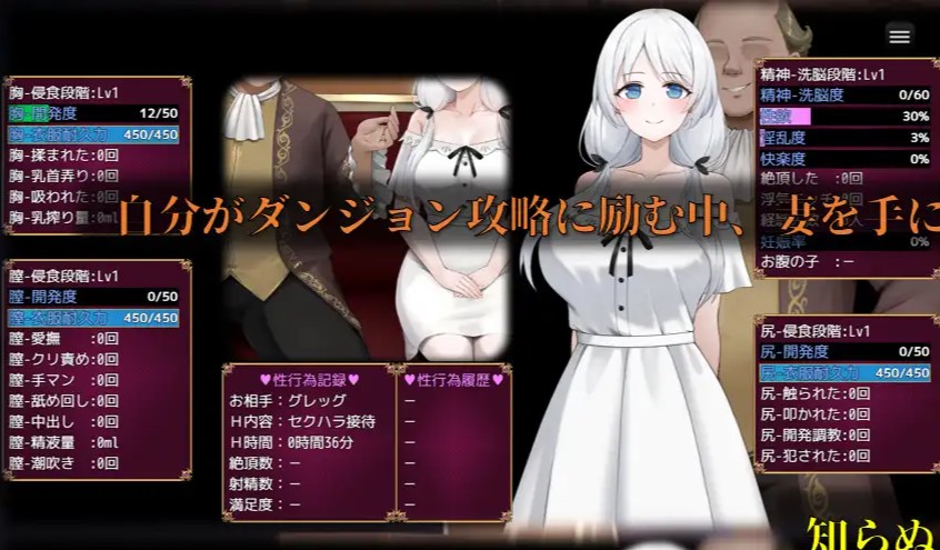 【绿色RPG/汉化】已婚妇女西莉亚的堕落与不道德 机翻版【新作/1.2G】