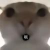 longyun